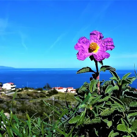 Nature Il Colle Apartment *